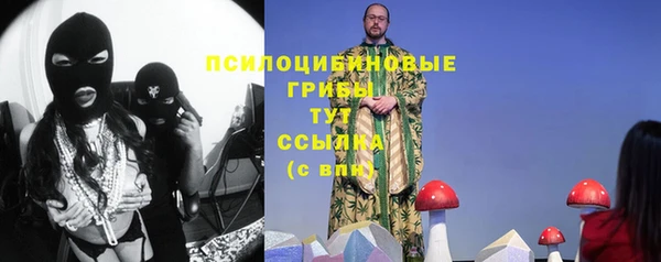 мяу мяу мука Армянск