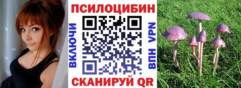 Галлюциногенные грибы ЛСД где можно купить Тара